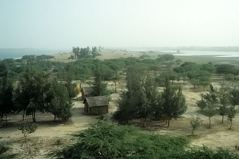 https://www.transafrika.org/media/Bilder Senegal/Dorf in Afrika.jpg